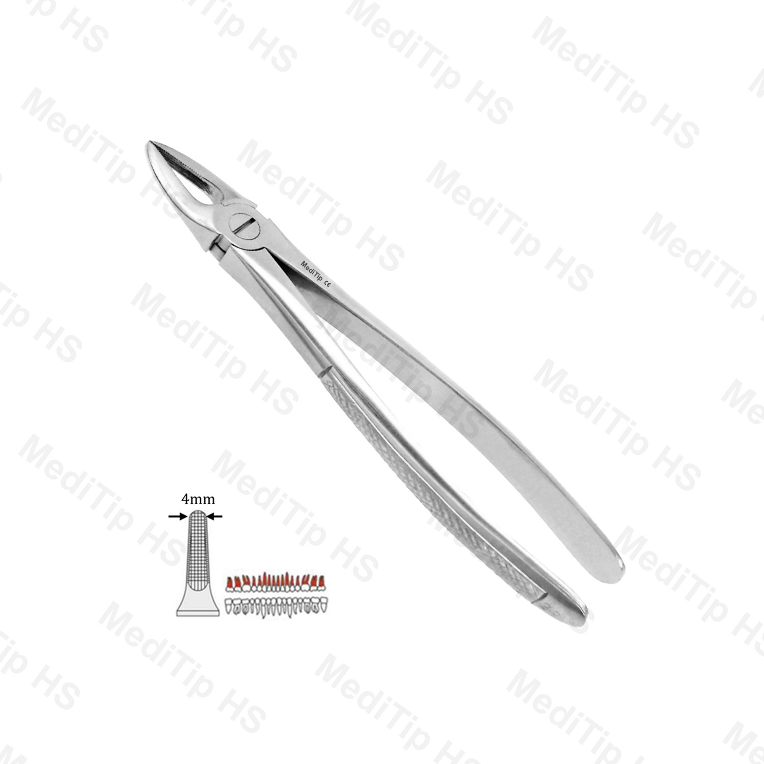 29 Extraction Forceps, Upper Roots Serrated
