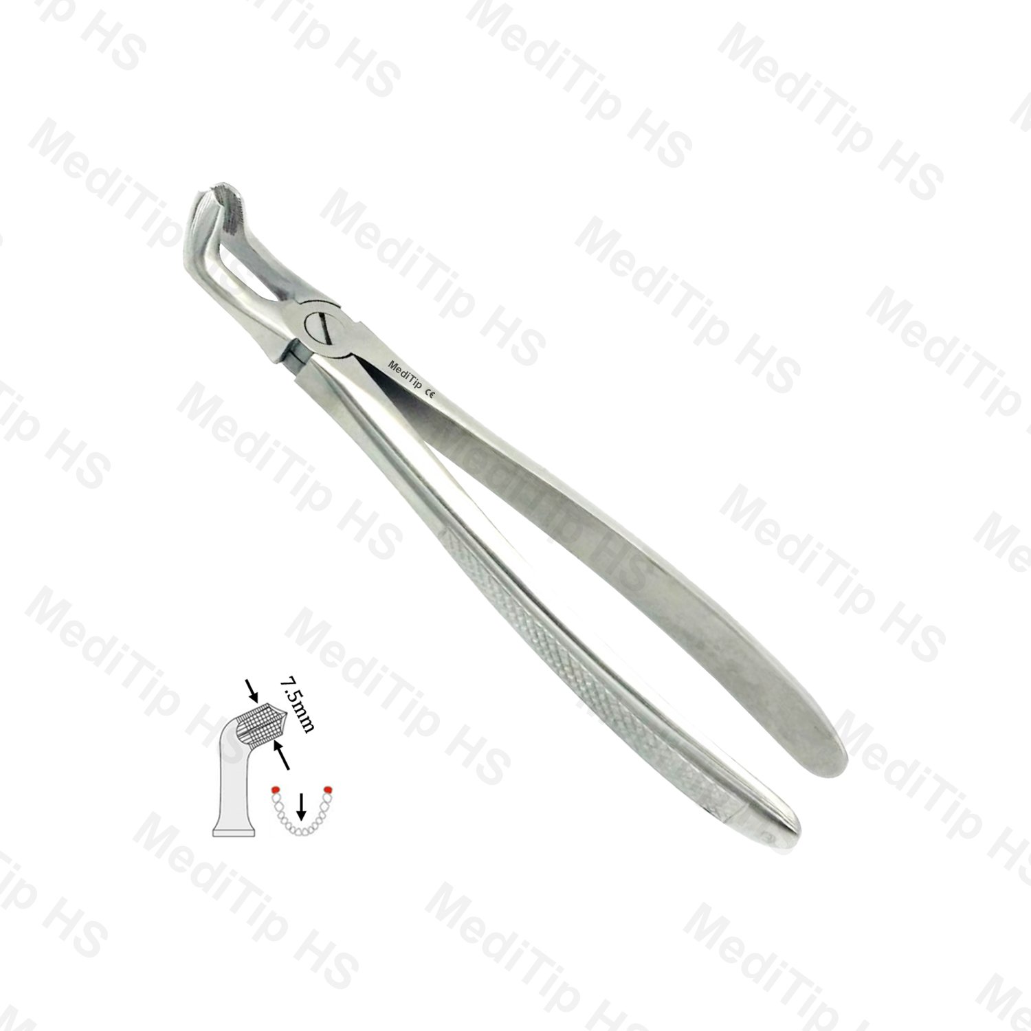 79 Extraction Forceps, Lower Third Molars